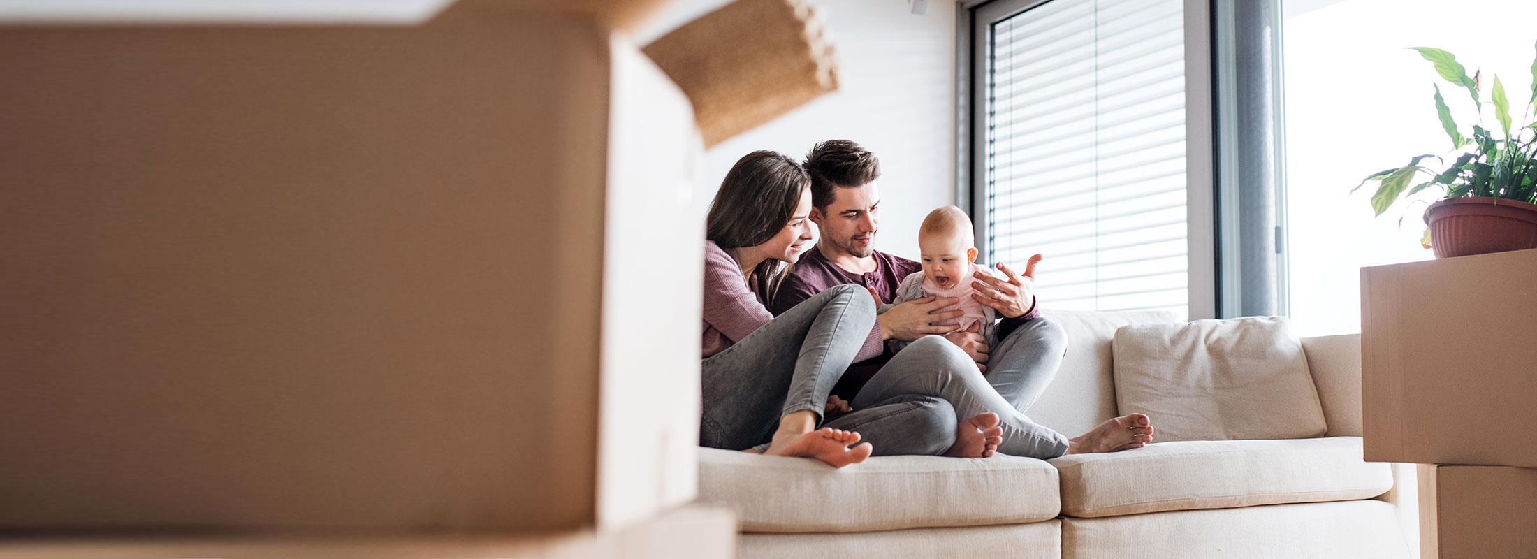 Cleaning Services Milton Merry Maids 40+ Years’ Experience